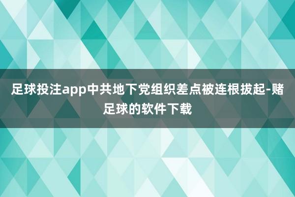 足球投注app中共地下党组织差点被连根拔起-赌足球的软件下载