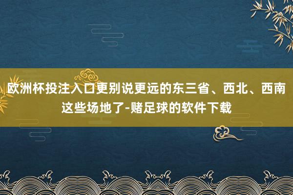 欧洲杯投注入口更别说更远的东三省、西北、西南这些场地了-赌足球的软件下载