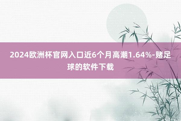 2024欧洲杯官网入口近6个月高潮1.64%-赌足球的软件下载