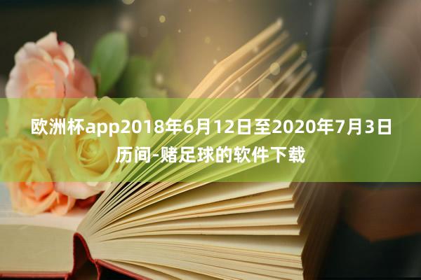 欧洲杯app2018年6月12日至2020年7月3日历间-赌足球的软件下载