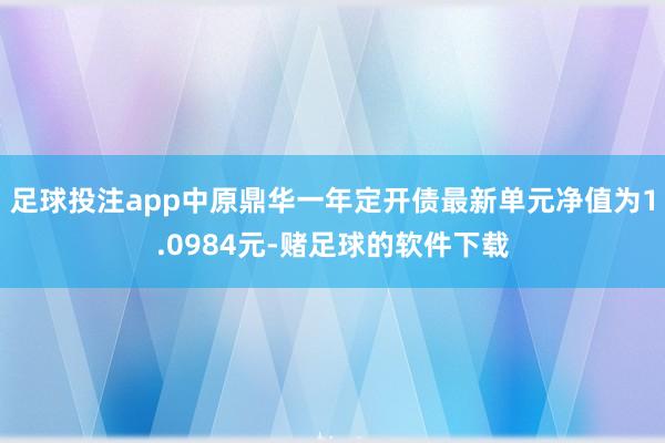 足球投注app中原鼎华一年定开债最新单元净值为1.0984元-赌足球的软件下载