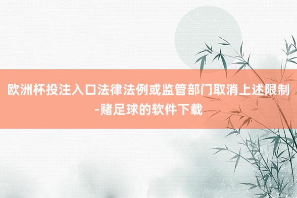 欧洲杯投注入口法律法例或监管部门取消上述限制-赌足球的软件下载