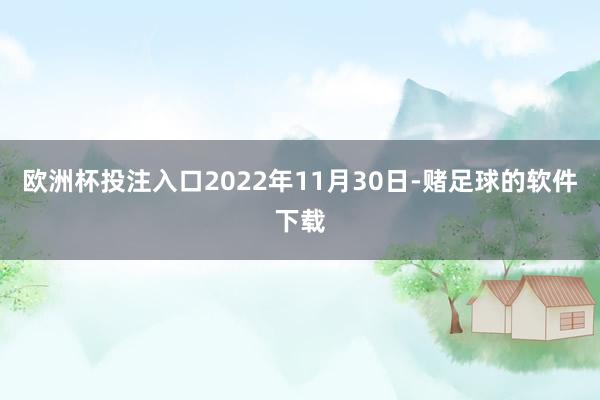 欧洲杯投注入口2022年11月30日-赌足球的软件下载