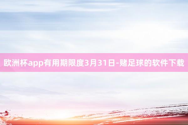 欧洲杯app有用期限度3月31日-赌足球的软件下载
