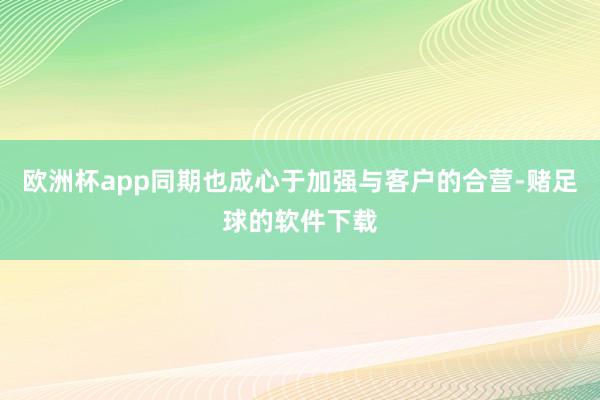 欧洲杯app同期也成心于加强与客户的合营-赌足球的软件下载