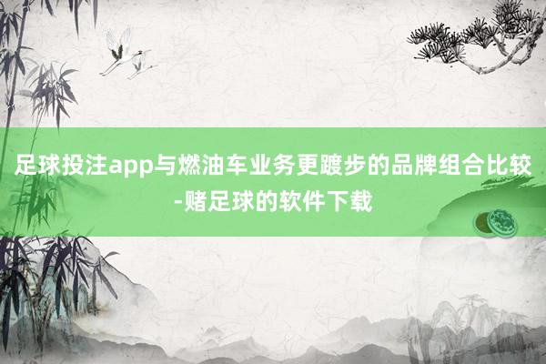 足球投注app与燃油车业务更踱步的品牌组合比较-赌足球的软件下载