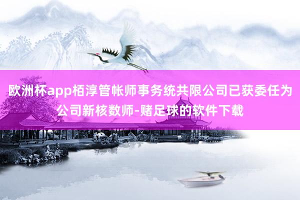 欧洲杯app栢淳管帐师事务统共限公司已获委任为公司新核数师-赌足球的软件下载