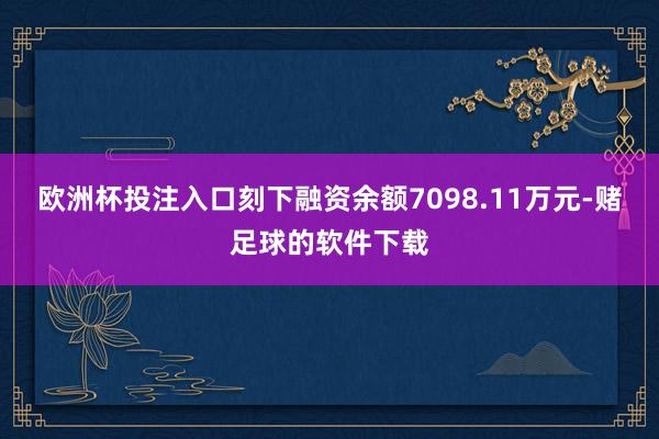 欧洲杯投注入口刻下融资余额7098.11万元-赌足球的软件下载