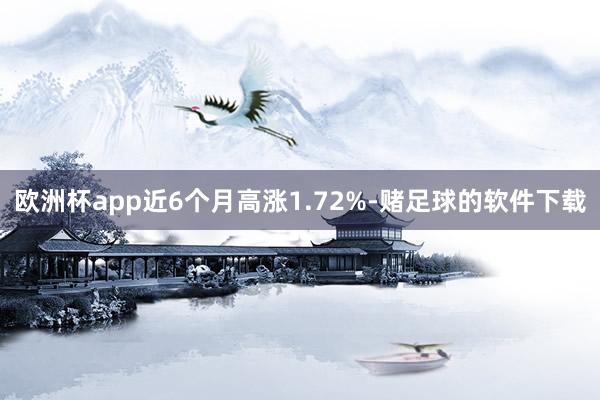 欧洲杯app近6个月高涨1.72%-赌足球的软件下载