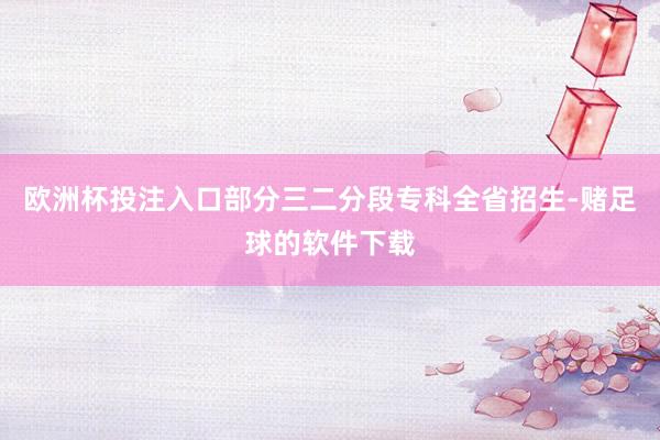 欧洲杯投注入口部分三二分段专科全省招生-赌足球的软件下载