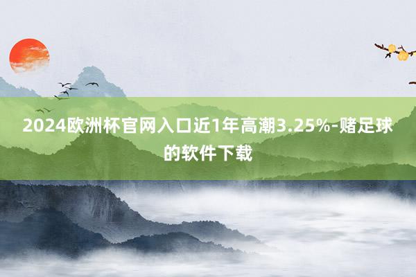 2024欧洲杯官网入口近1年高潮3.25%-赌足球的软件下载