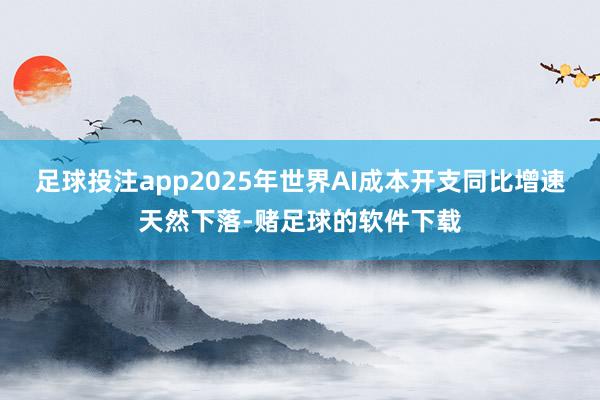 足球投注app2025年世界AI成本开支同比增速天然下落-赌足球的软件下载