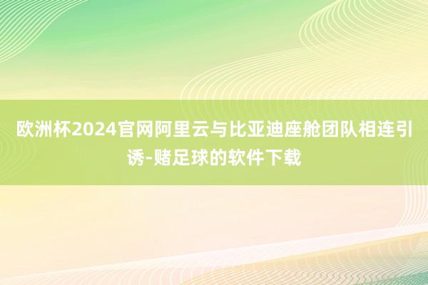 欧洲杯2024官网阿里云与比亚迪座舱团队相连引诱-赌足球的软件下载
